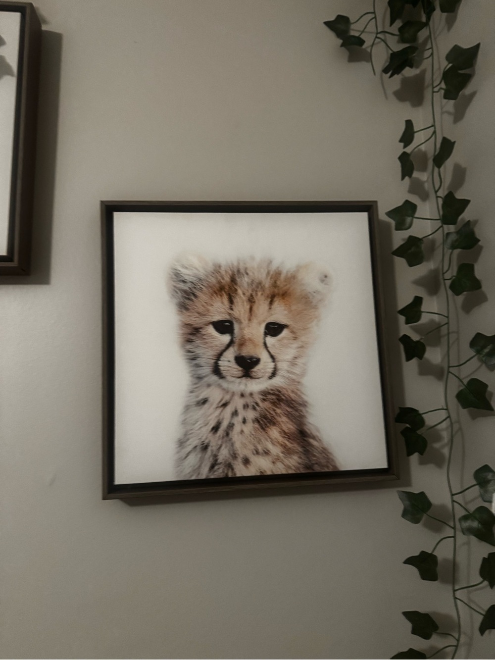 ‘Safari Animals’ by Amy Peterson - Floater Frame Graphic Art Prints (Set of 6) - Picture 9 of 11